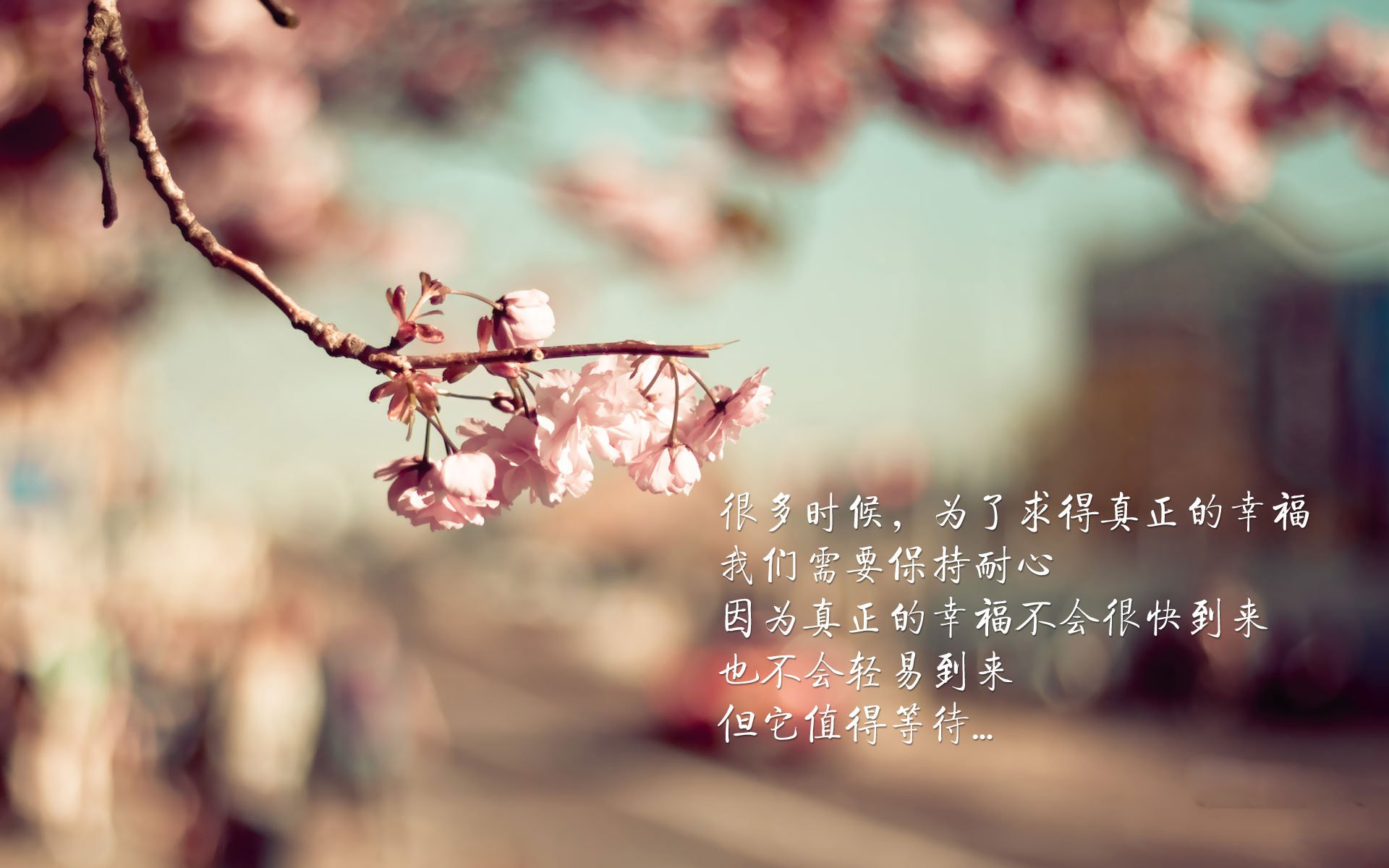 画面定格：最令人铭记的瞬间回放，画面定格在…的作文600字