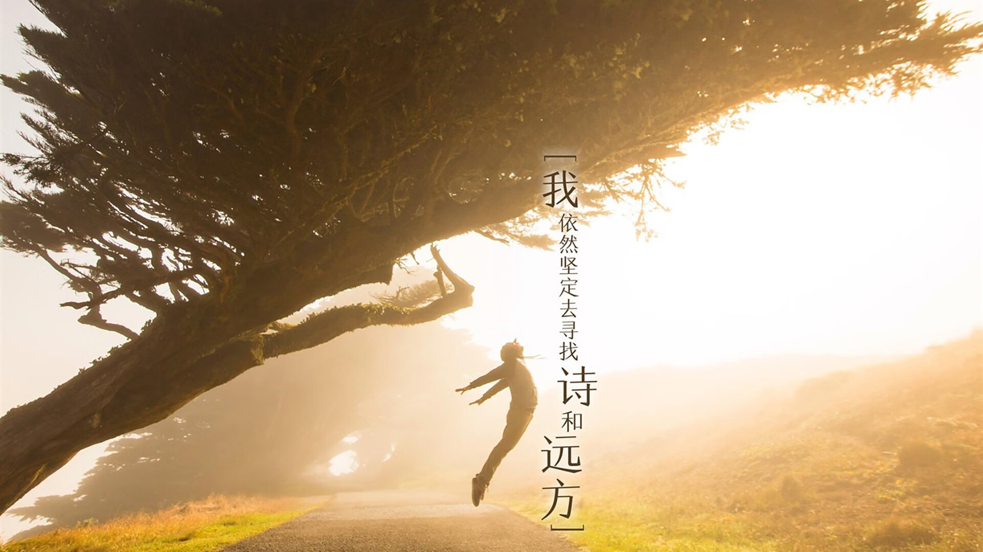 熊猫体育网页版-卡利亚里是否应加强本土球员培养力度，卡利亚里新球衣