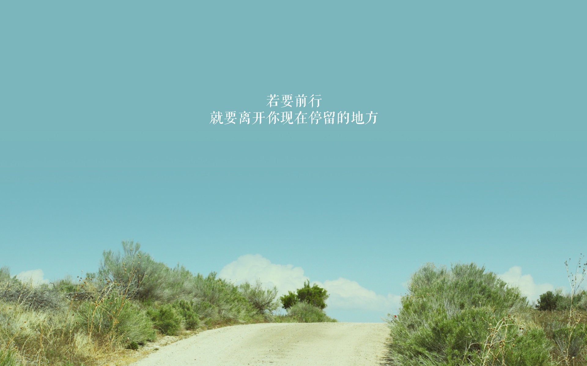 熊猫体育官网-巴西马术协会与法国马术协会合作，举办国际马术研讨会，促进学术交流。