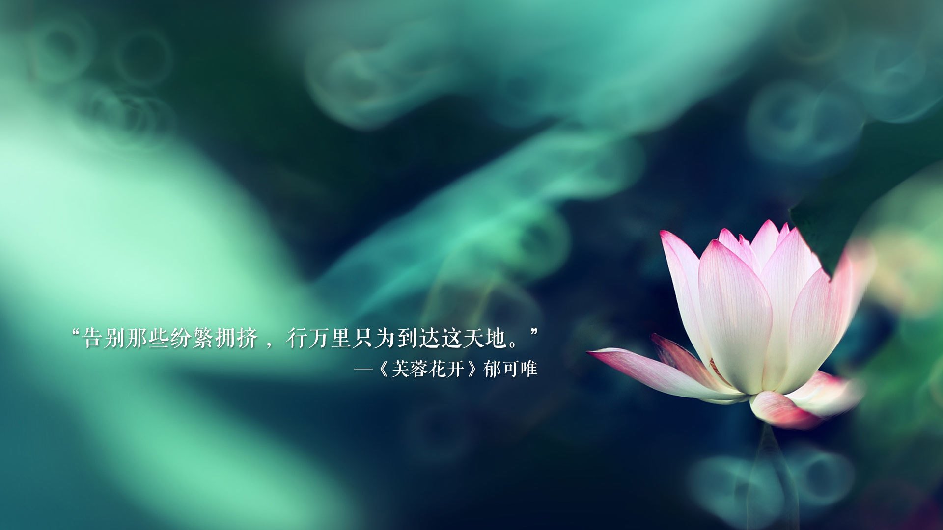 雄鹿队年轻球员突破重围，成为球队未来希望，雄鹿队年龄