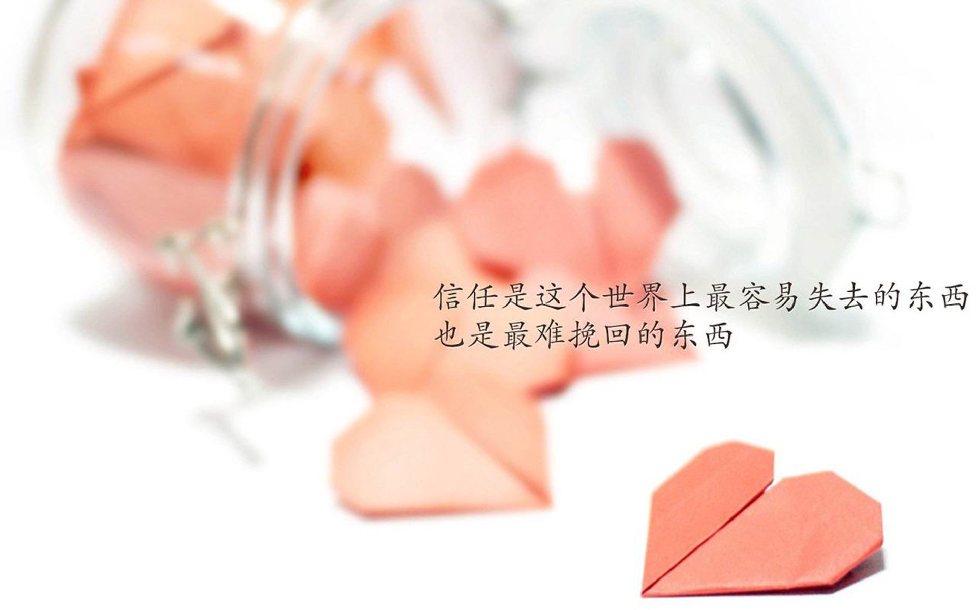 “马丁·高尔西的完美发挥，为阿根廷美洲狮队注入新动力”