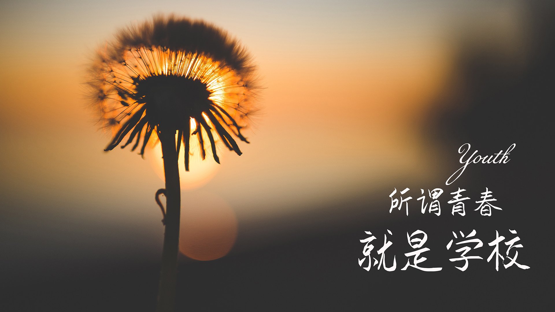 体育新闻中心比赛氛围还原，体育赛事新闻稿标题